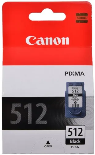 Encre CANON PG-512 Noir pour MP240-250-270-490/IP2700 FR