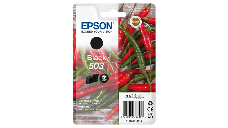EPSON GR CRT Singlepack Black 503 Ink WF-2960