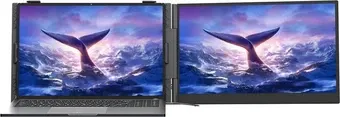 IPS 14,0 BLACKVIEW SCM6 Portable FHD Alu 2xUSB-C 4,5mm Gris