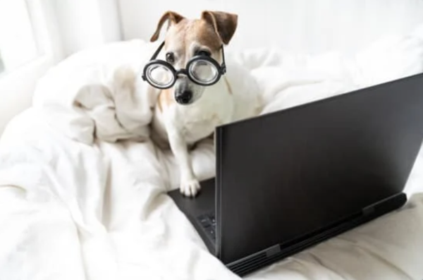 Comment bien choisir une Imprimante à la Réunion