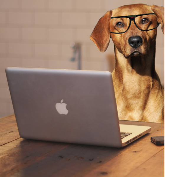 Bien choisir son PC à la Réunion